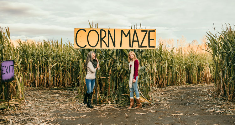 Union Gap Corn Maze & Pumpkin Patch - Union Gap, WA