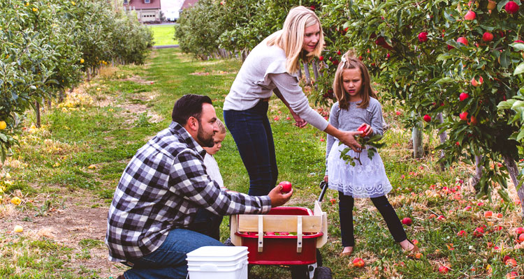 U-Pick Farms, Farm Stands, & Harvest Festivals - Union Gap, WA